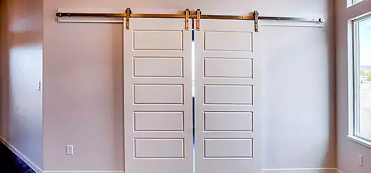 Glass Barn Door with Installation Hardware Kit Reno