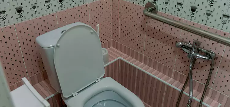 Meeting Diverse Needs With Accessible Restroom Solutions in Reno, NV