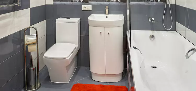 Hansgrohe Shaving Mirror Reno